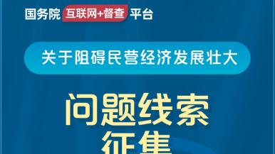 艹日本女人的B国务院“互联网+督查”平台公开征集阻碍民营经济发展壮大问题线索